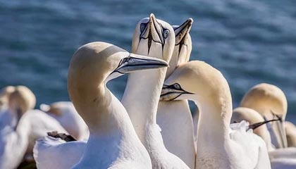 慈利伴游,定制QQ:3494206190微信:act1322